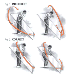 Key Elements for a Successful Swing